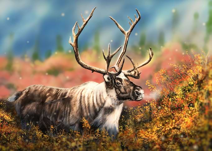Southern Mountain Caribou