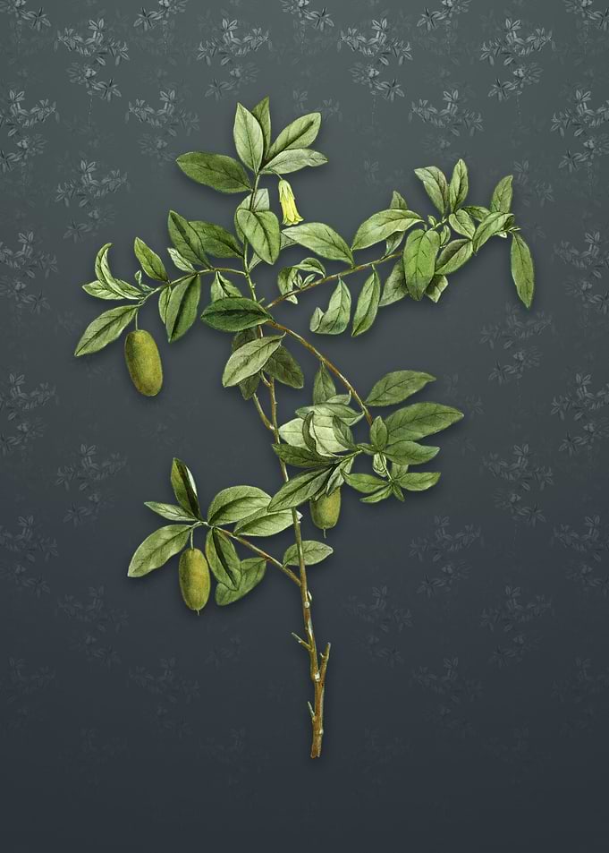 Vintage Apple Berry