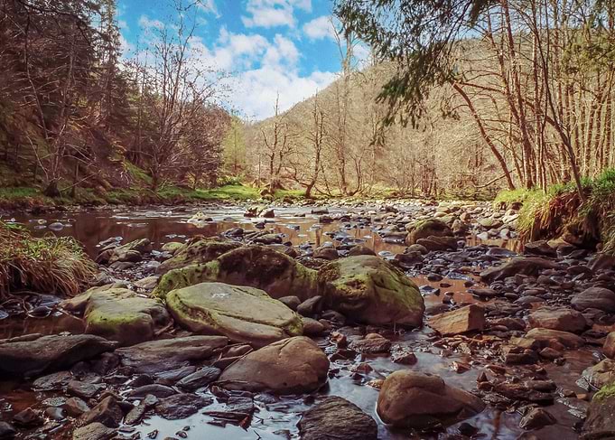 Highlands Stream