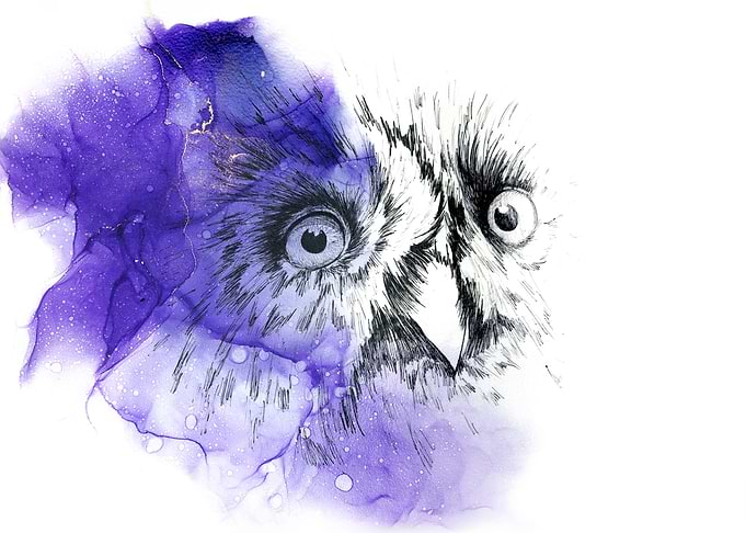 Bubo