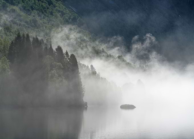 Morning mist at the lake