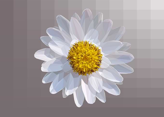 Low Poly Bushy White Aster