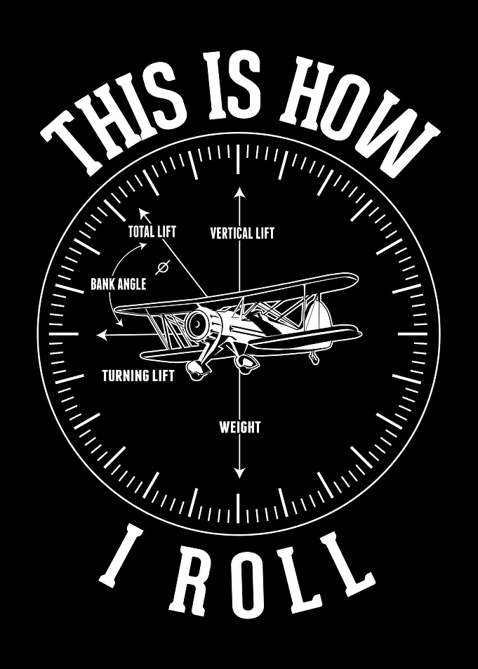Airplane Turn Forces