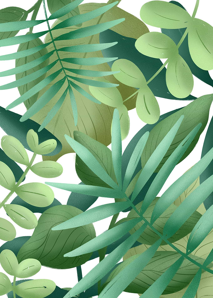 Leaves 3