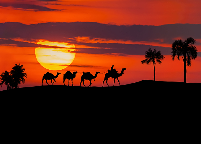 Desert Landscape