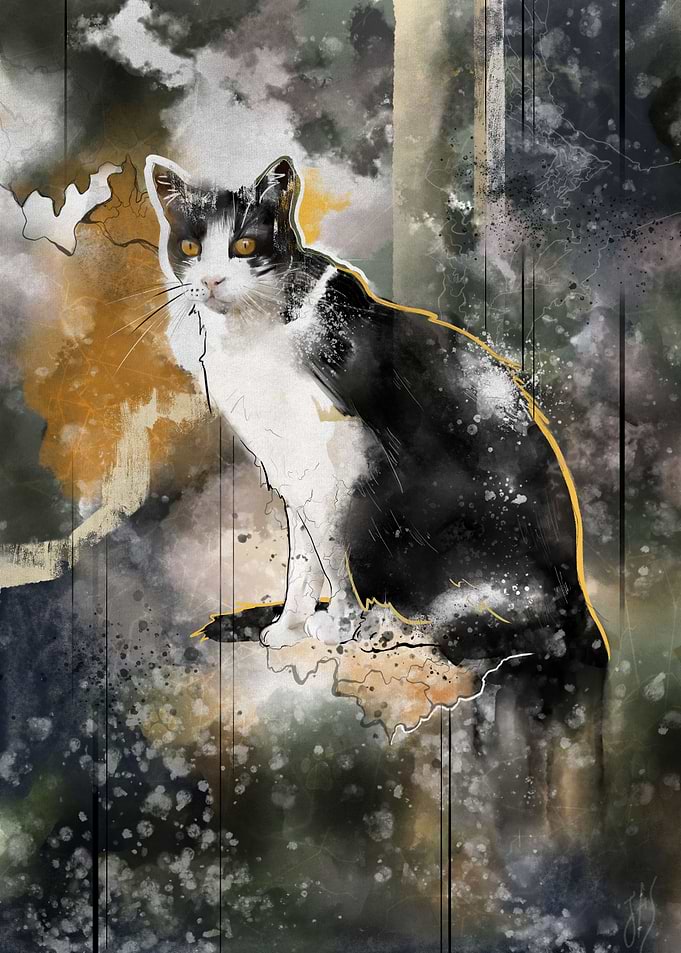 House Cat Nature Spirit