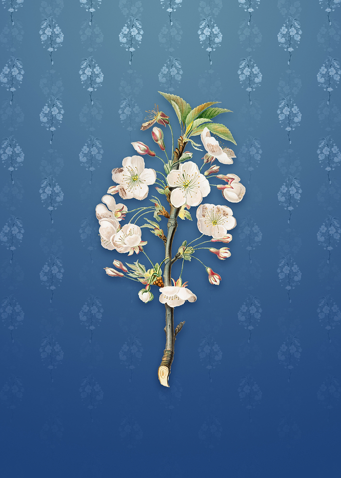 Vintage Pear Tree Flowers