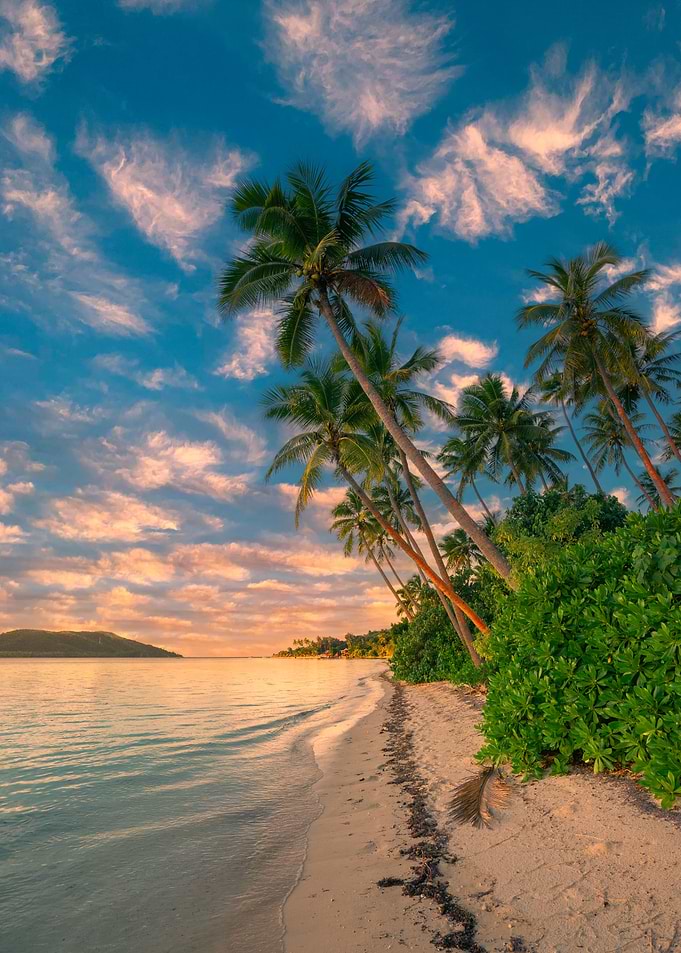 Fiji Vibes