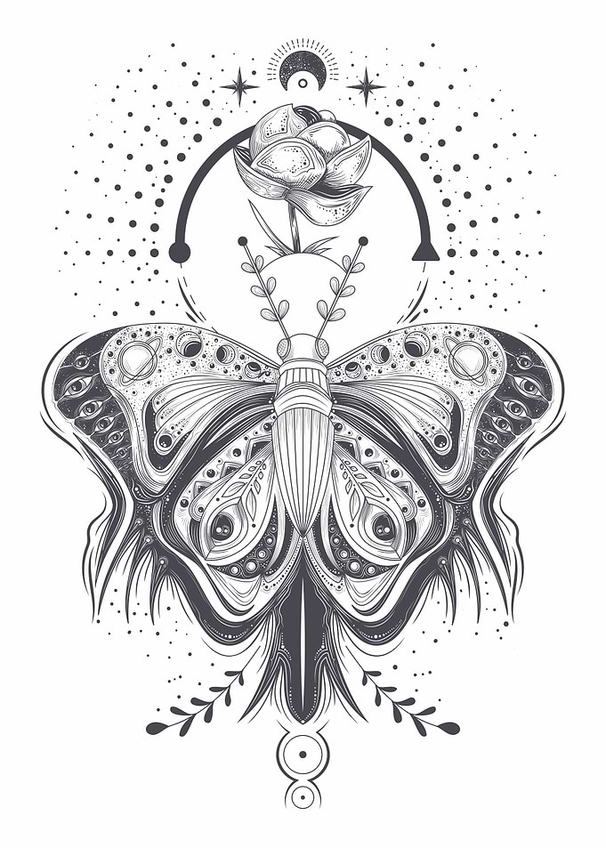 Butterfly