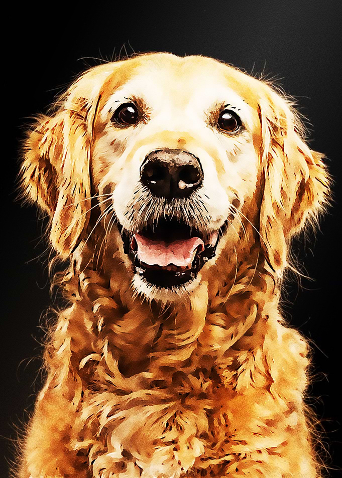 dog