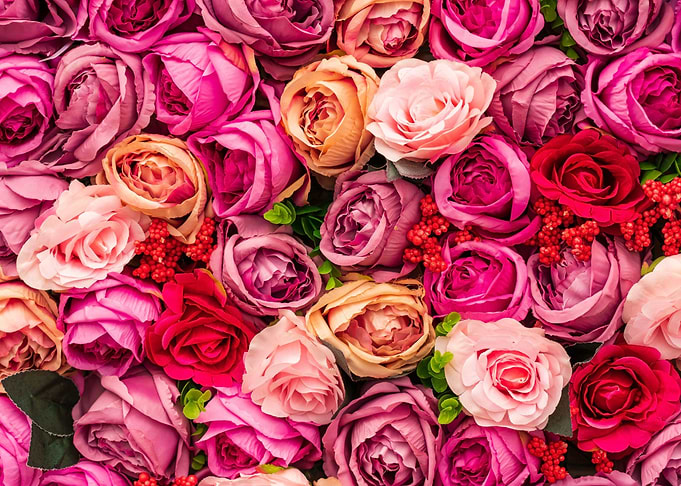 Multi Color Roses