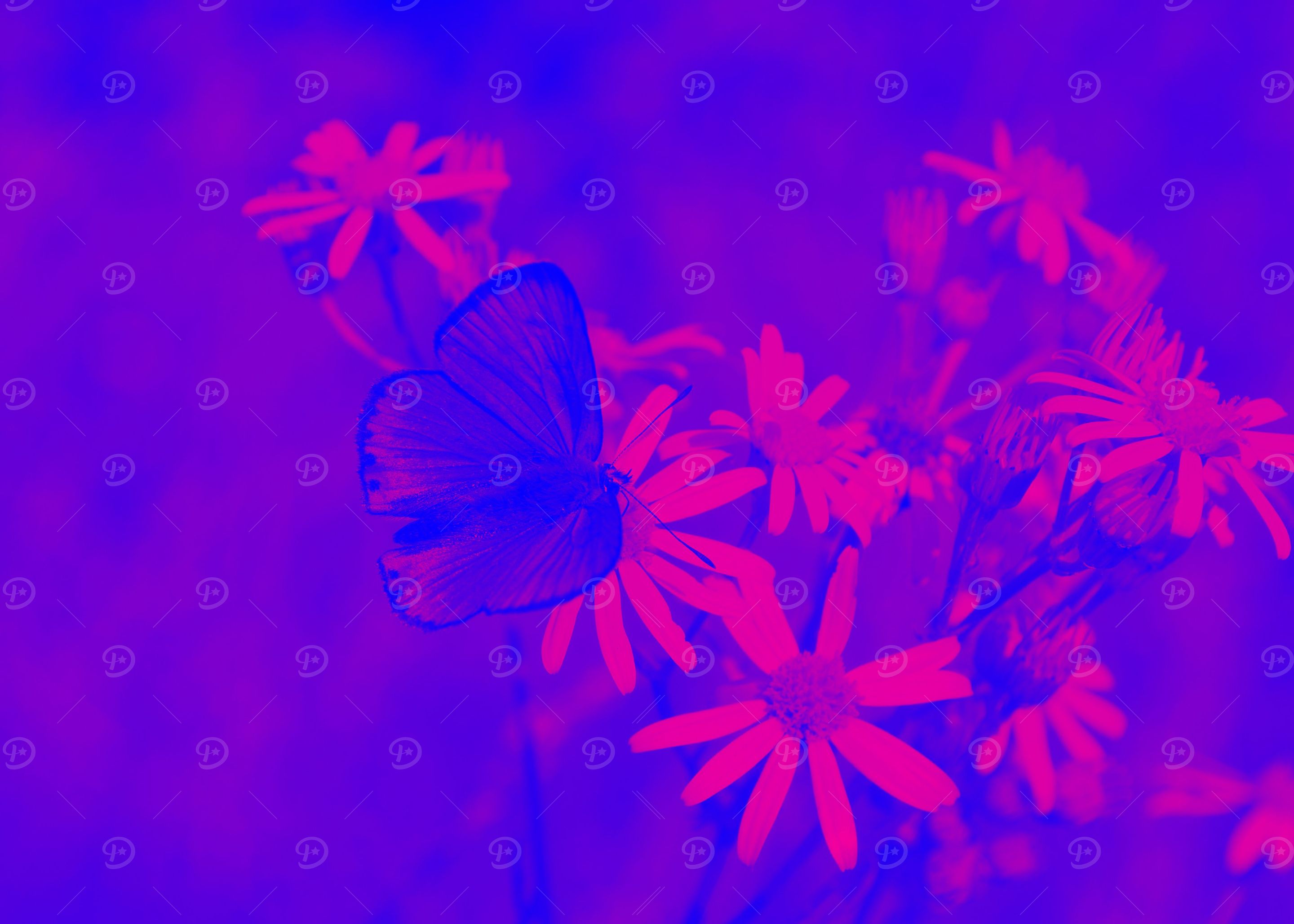 Butterfly effect