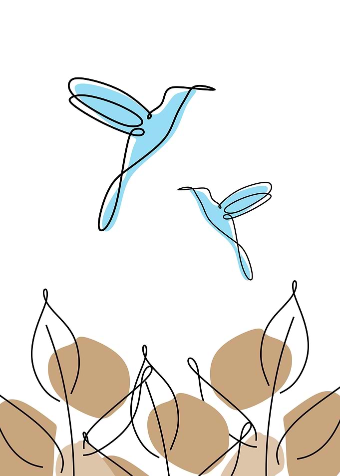 bird