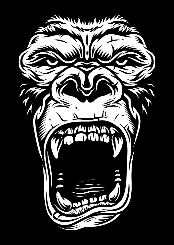 Gorilla