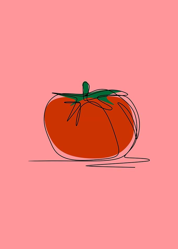 TOMATO