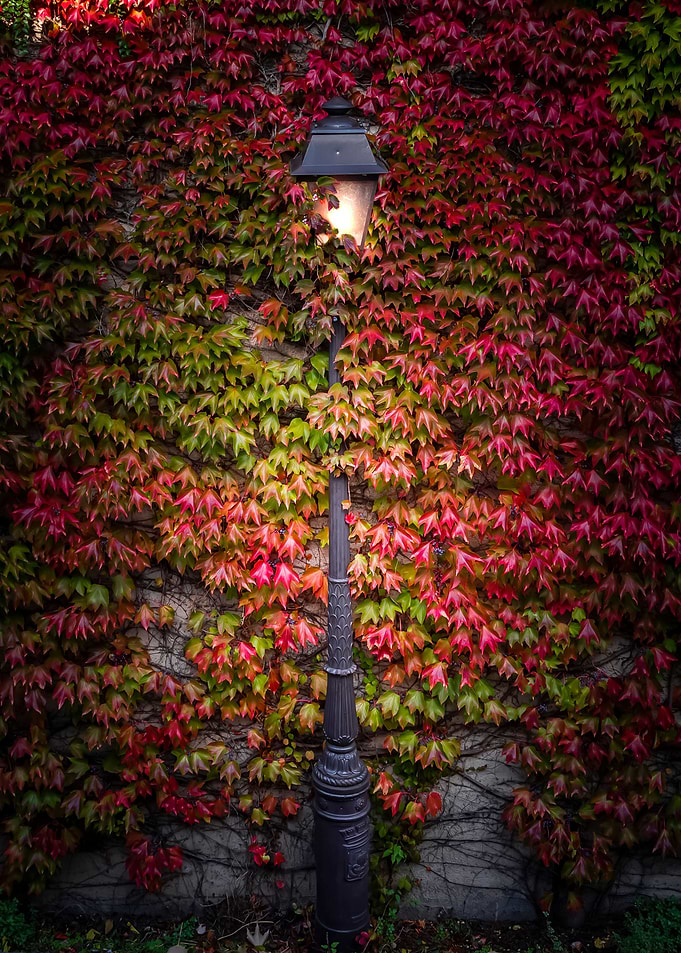 Lost Street Lamp