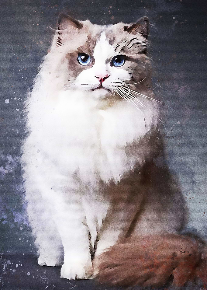 New Cat Atwork