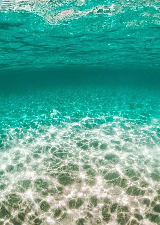 Under the sea