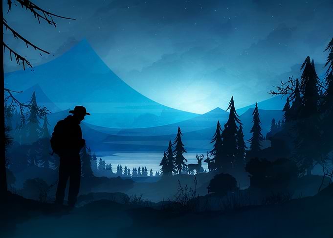 Night Forest Lake