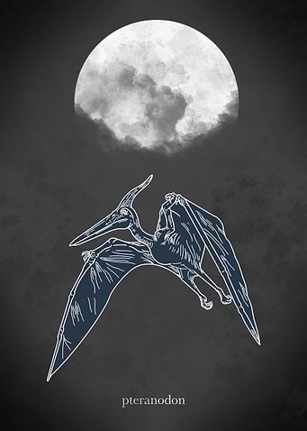Flying Dinosaur Minimal
