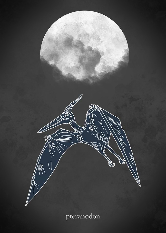 Flying Dinosaur Minimal