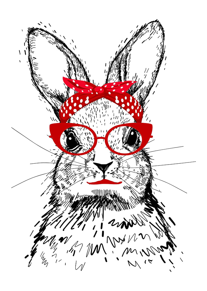 Rabbit with Red Glasses