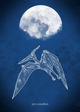 pteranodon Dinosaur