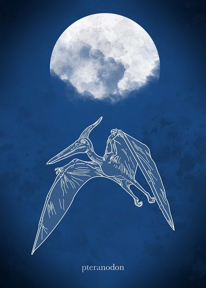 pteranodon Dinosaur