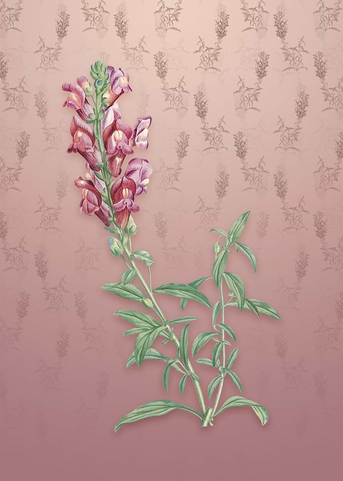 Vintage Red Dragon Flowers