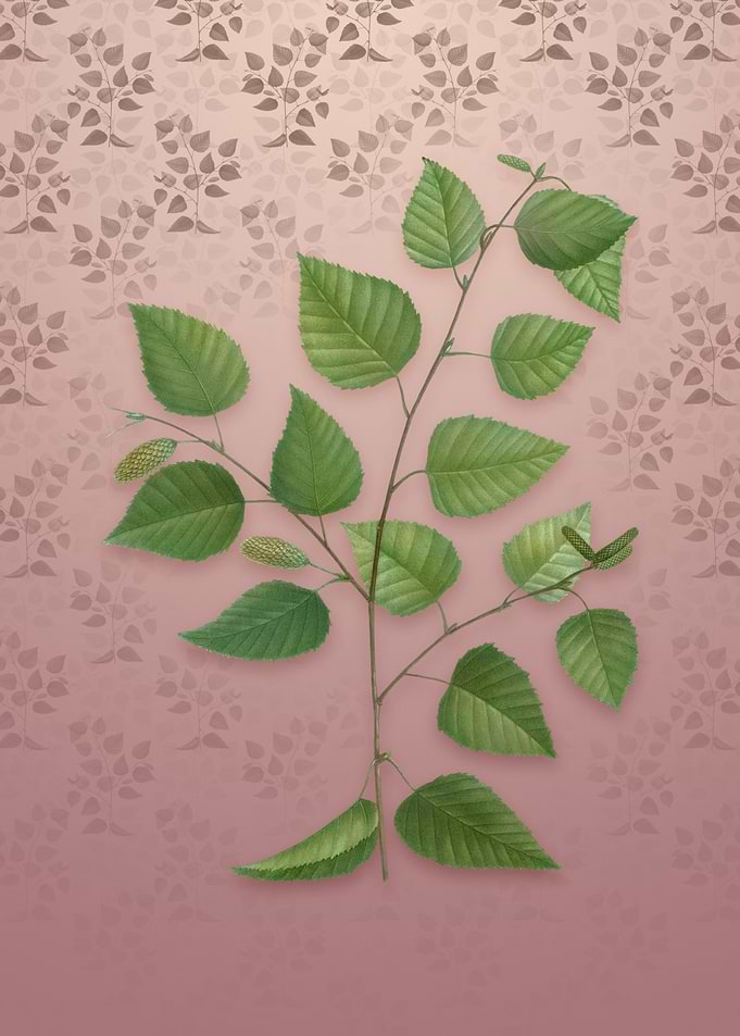 Vintage Paper Birch