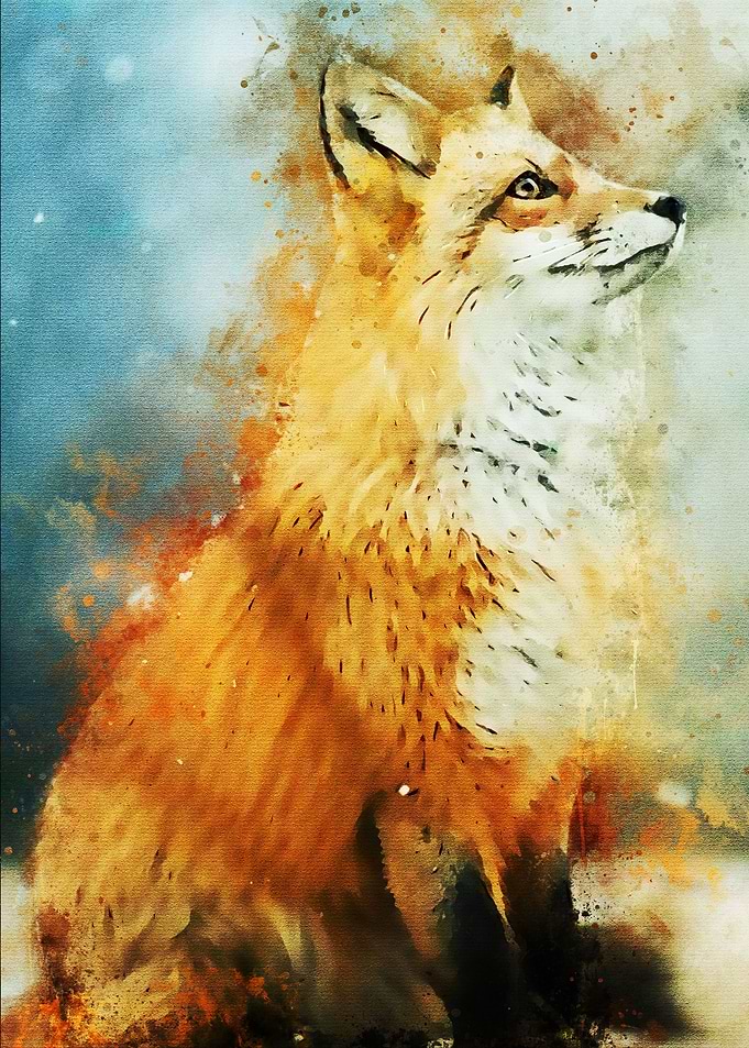 wolf