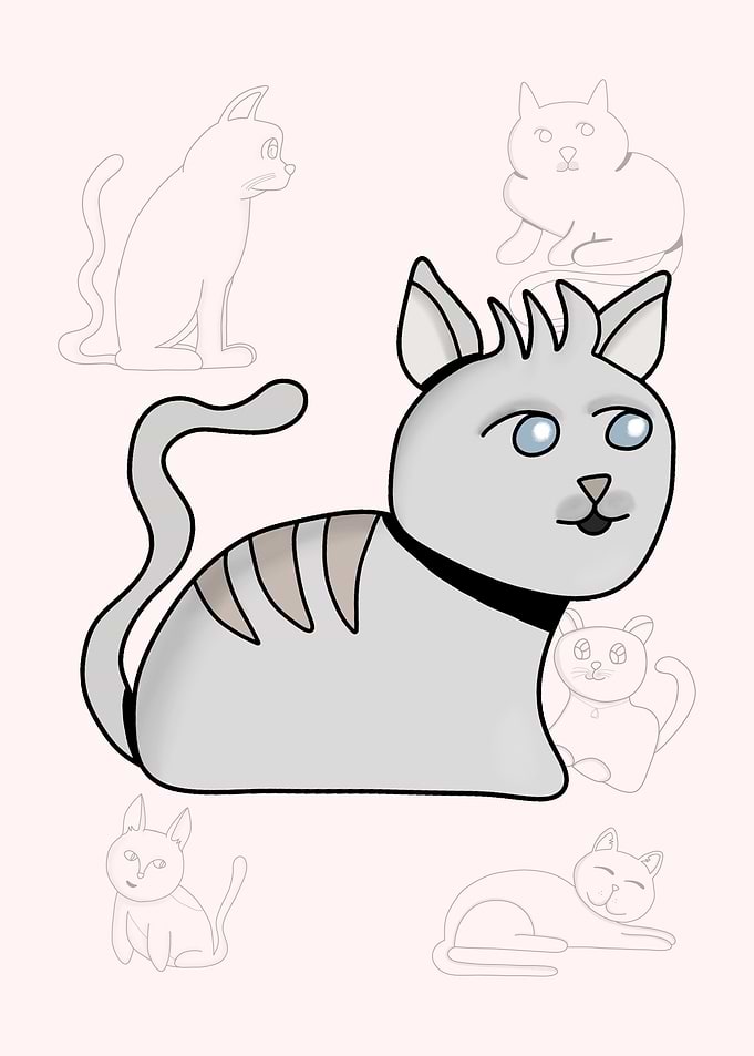 An Adorable Cat