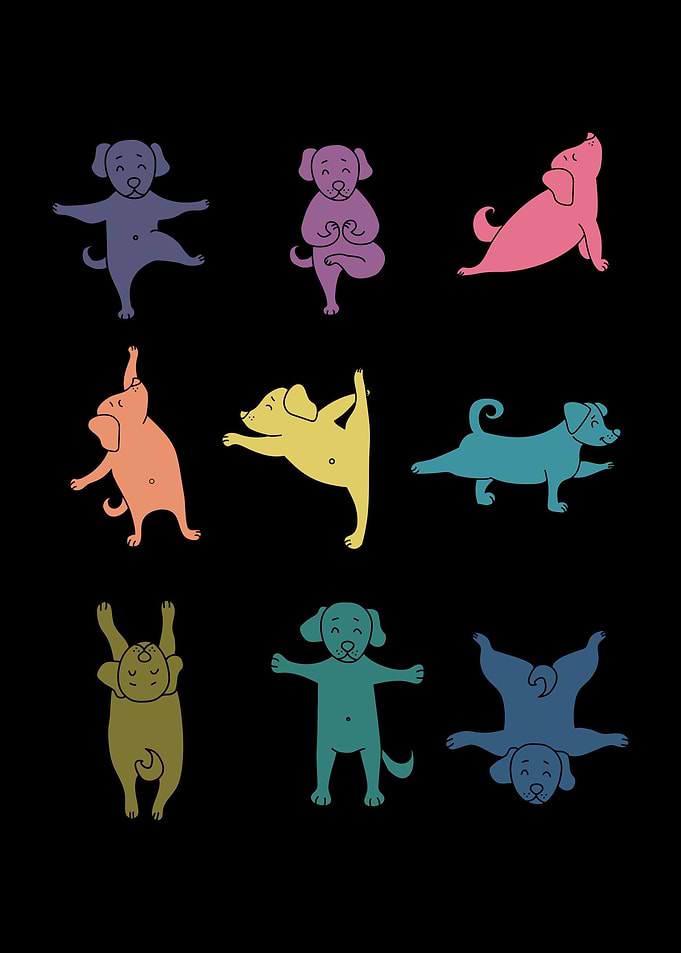 Colorful Dog Yoga Pose