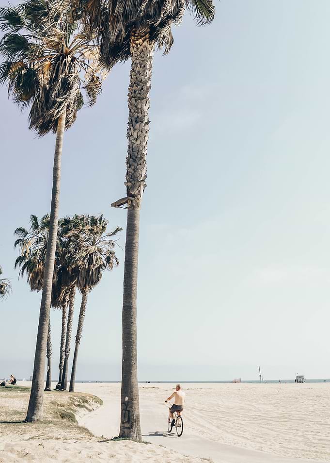 Biker in Venice beach CA