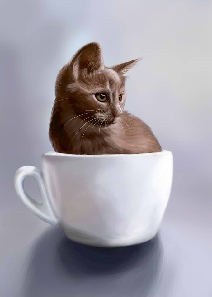 Ginger Teacup Kitten