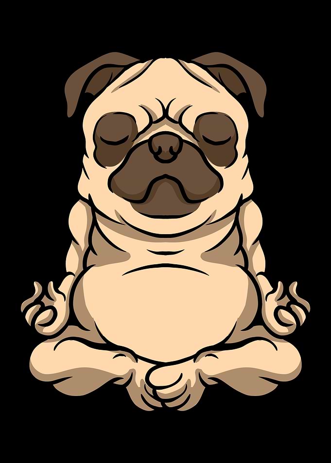 Yoga Instructor Yogi Zen