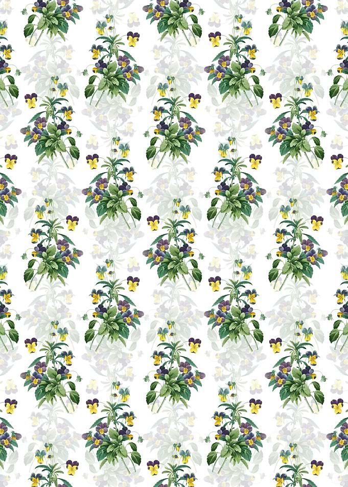 Johnny Jump Up Pattern