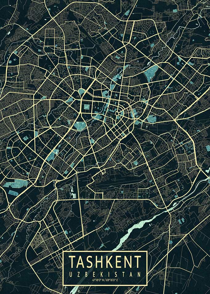 Tashkent City Map Summer