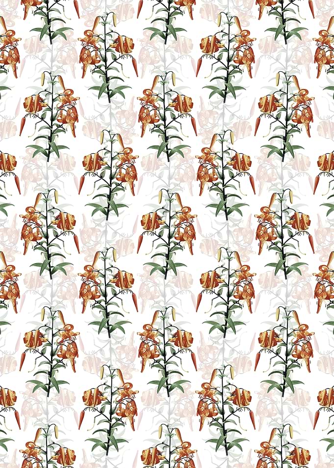 Floral Tiger Lily Pattern
