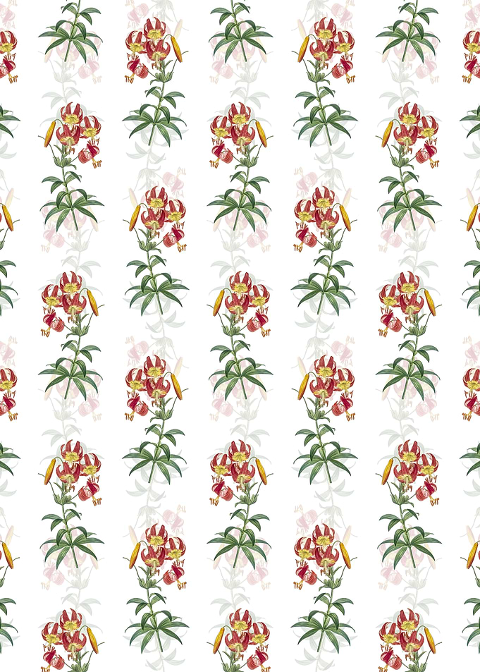 Floral Turban Lily Pattern
