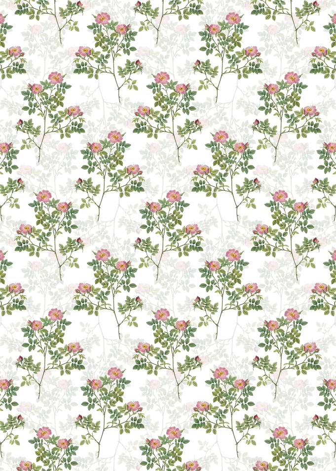 Floral Rose Corymb Pattern