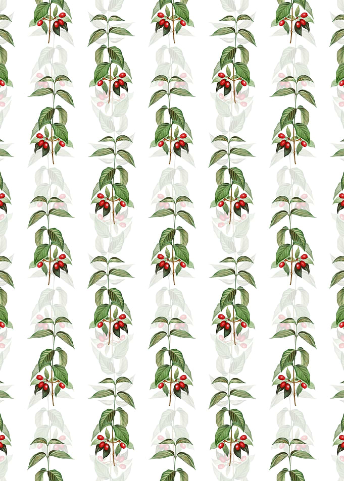 Cornelian Cherry Pattern
