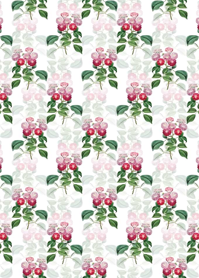 Seven Sisters Rose Pattern