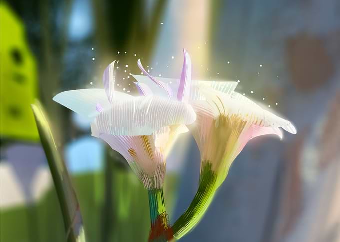 Iris