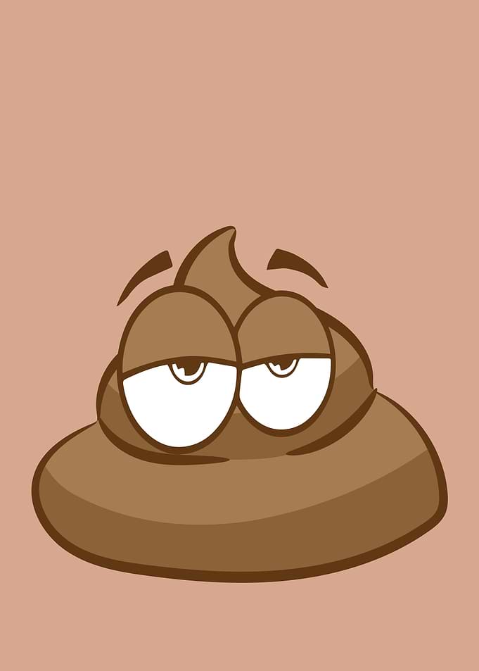 Chill Poop Emoji