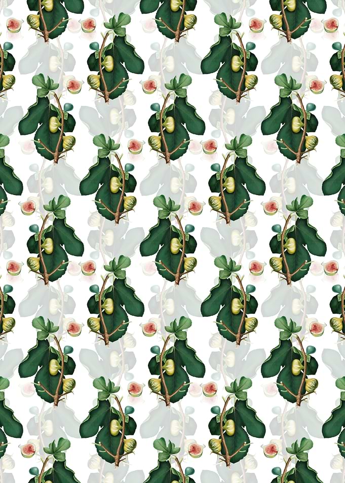 White Peel Fig Pattern