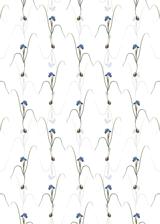 Floral Barbary Nut Pattern
