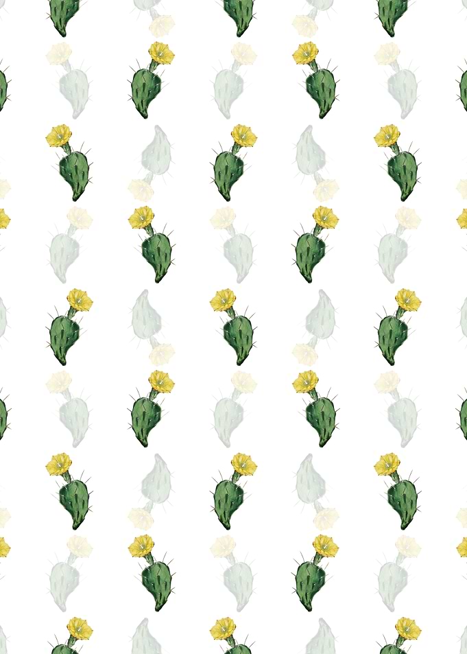 One Spined Opuntia Flower