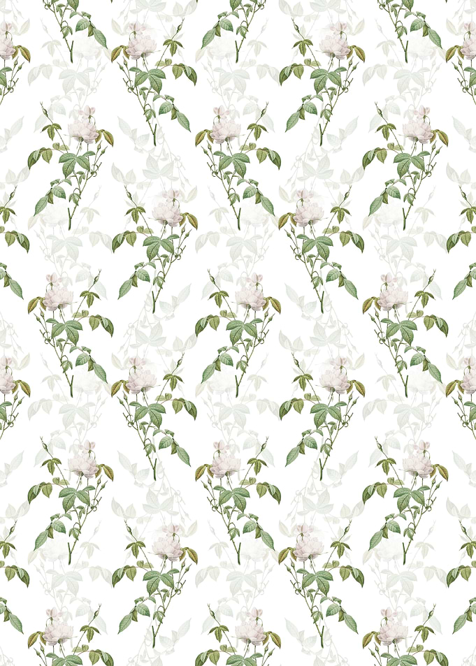 White Bengal Rose Pattern