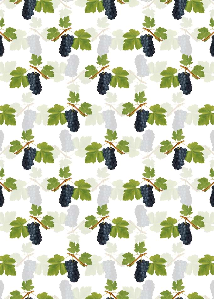 White San Columbano Grapes